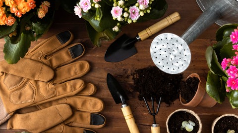 Verschiedenes Gartenwerkzeug liegt auf einem Tisch | Natalie Bauer: Das könnt ihr jetzt im Frühling schon im Garten tun
