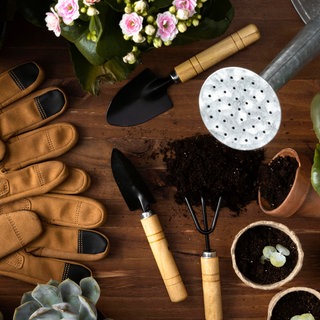 Verschiedenes Gartenwerkzeug liegt auf einem Tisch | Natalie Bauer: Das könnt ihr jetzt im Frühling schon im Garten tun