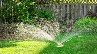 Wasser sparen mit Trockenrasen: Ein Rasensprenger steht im Garten und bewässert den Rasen.