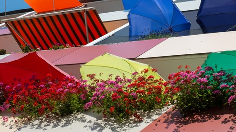 Balkonpflanzen bei Sonne und Hitze: Bunte Sonnenschirme und Blumenkästen auf den Balkons einen Mehrfamilienhauses.