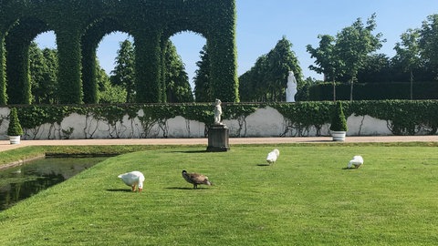 Das waren die Festspiele 2019!