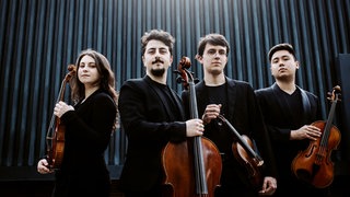Viatores Quartet