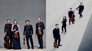 Signum Quartett (links) und Viatores Quartet (rechts)