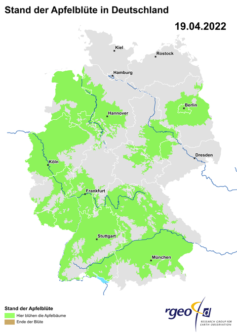 Landkarte der Ausbreitung der Apfelblüte für den 19. April 2022, berechnet aus ca. 700 Apfelblütenbeobachtungen.