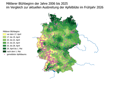 Diese Landkarte zeigt den mittleren Bühbeginn der Apfelbäume in Deutschland, errechnet aus den Daten der Apfelblütenaktion aus den Jahren 2006 bis 2025. Zum Vergleich sind die bis zum 3. Mai gemeldeten Apfelbäume aus dem aktuellen Jahr eingezeichnet. 