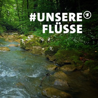 Key Visual der ARD-Mitmachaktion #unsereFlüsse: Ein fließender Bach im Wald