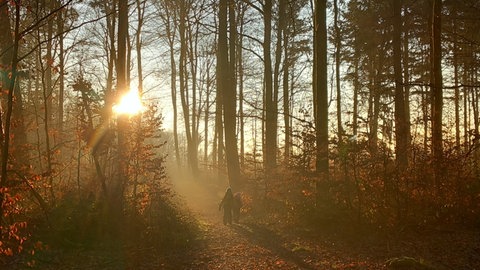 Ein Herbstmorgen im Waldkindergarten Buntsprechte in Walldürn im Neckar-Odenwald-Kreis