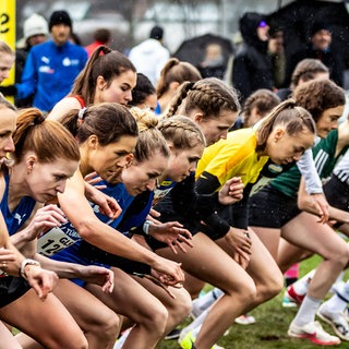 Frauen bei einem Lauf-Wettkampf