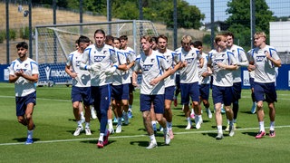 TSG Hoffenheim 
