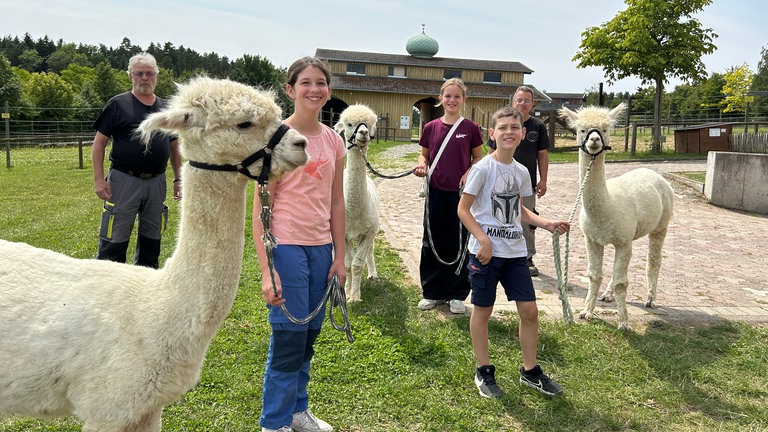 Der perfekte Tag mit SWR1 im Nordschwarzwald - jetzt geht es auf Tuchfühlung mit Alpakas und Kamelen. Unsere Gewinner halten Alpakas am Zügel.