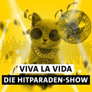Kätzchen mit Disco-Kugel, Halskette und Ring im Ohr mit dem Text "Viva la Vida Die Hitparaden-Show".