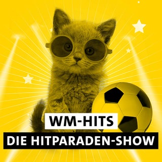 Kätzchen mit Fußball und Schriftzug "WM-Hits Die Hitparaden-Show"