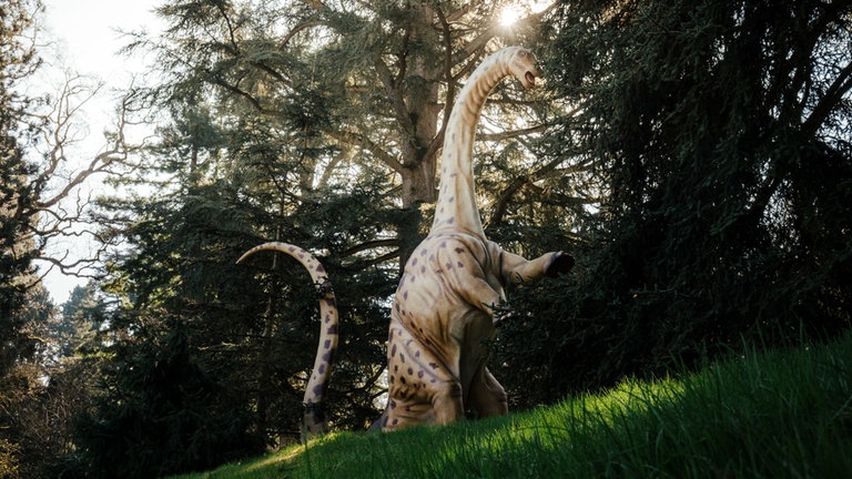 Eine lebensgroße Dinosaurier-Figur steht zwischen Bäumen auf der Insel Mainau.