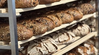 Frisches Brot im Regal bei Brot-Sommelier Weltmeister Michael Kress. Ein Brot-Sommelier-Kurs bei ihm ist eine Station bei "der perfekte Tag" 2026 in Weinheim mit SWR1 Baden-Württemberg.