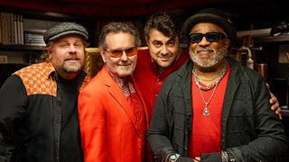 Stoppok mit Band