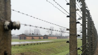 Die Vorbereitungen für die Feierlichkeiten zum 80. Jahrestag der Befreiung des Konzentrationslagers Auschwitz-Birkenau haben begonnen. Das Gelände des KL Auschwitz II Birkenau.