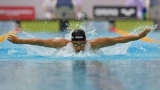 Schwimmer