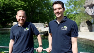 Tierärzte vom Zoo Karlsruhe Marco Roller (links) und Lukas Reese (rechts) stehen am Seehund-Becken.