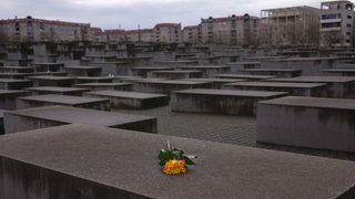 Eine Rose liegt auf einer Stehle des Holocaust-Mahnmahls in Berlin in der Dämmerung.