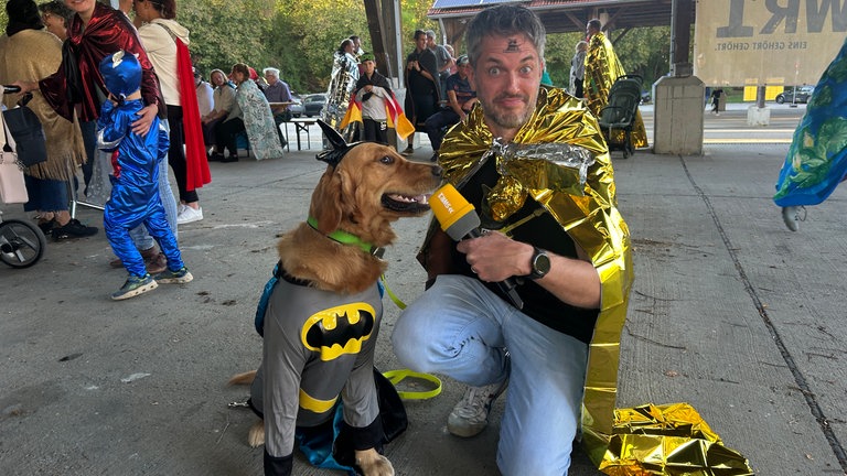 Bad-Dog und Robin Walesch: Ist Niederstetten mit diesem Team zu schlagen?
