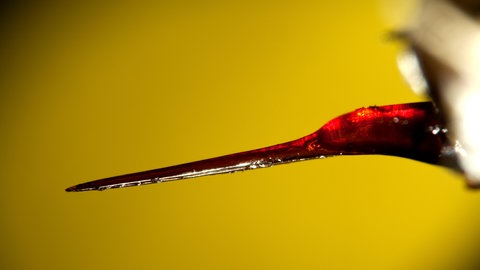 Der Stachel der Biene hat sich evolutionär nach ihrem Gift entwickelt.