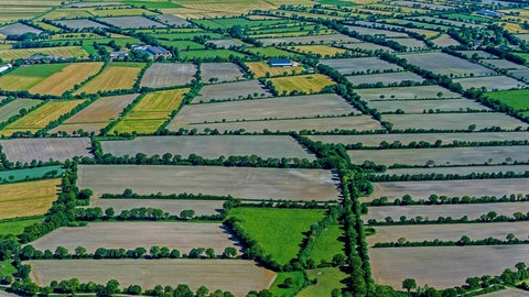 Heckenlandschaft auf der Husumer Geest