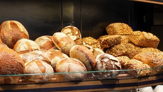 Doc Fischer: gesundes Brot - verschiedene Brotsorten 