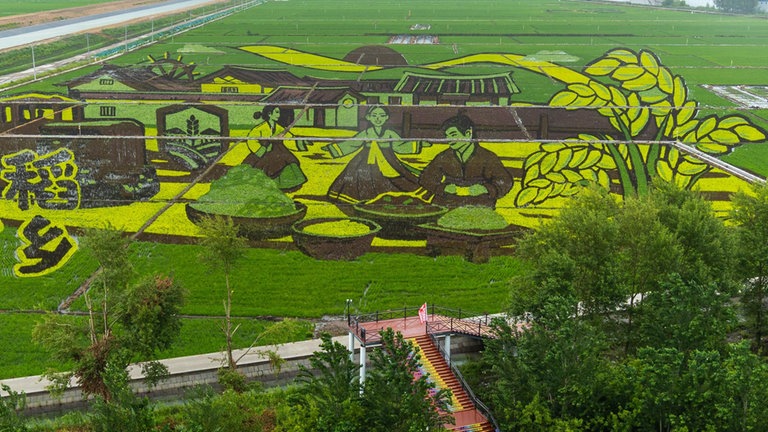 10. Juli: Wie gemalt sehen die Reisfelder in der nordostchinesischen Provinz Heilongjiang aus. Dabei ist dieses Kunstwerk weder durch Einfärben noch durch Pflanzenschnitt entstanden, sondern durch Anpflanzung unterschiedlicher Reissorten. Solche "Hightech-Kunst"-Projekte sind in der Regel staatlich gefördert und entstehen mithilfe smarter Vermessungstechnik via Drohnen und Satelliten. Es werden dafür sogar eigene touristische Aussichtstürme gebaut.