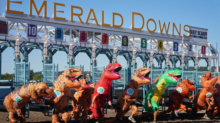 15. Juli: Das Teilnehmerfeld der Meisterschaft der Männer beim jährlich stattfindenden T-Rex-Welt-Cup auf der Galopprennbahn "Emerald Downs" in Auburn, Washington (USA). Seit 2017 treffen sich hier jedes Jahr Menschen, die dann in aufblasbaren Dino-Kostümen eine Strecke von 100 Yards, das sind 90 Meter, auf Zeit überwinden. Ableger dieser kuriosen Sportveranstaltung existieren bereits in Japan.