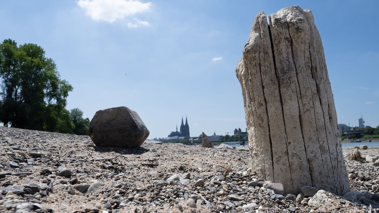 22. Juli: Was einmal im Rhein gelandet ist, bleibt im Rhein. Von wegen! Das extreme Niedrigwasser lässt vor der Kulisse des Kölner Doms weite Teile des Flussgrundes frei liegen.