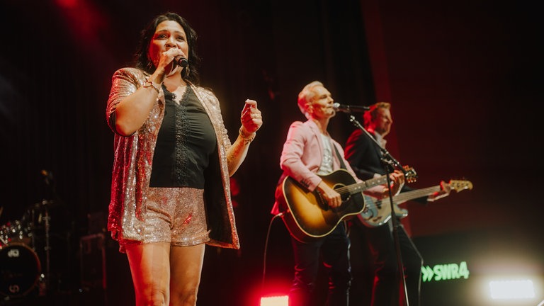 Die Hermes House Band beim SWR4 Festival in Wörth 2025