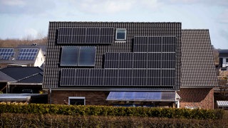 Photovoltaikpanele auf Eigenheim-Dächern.