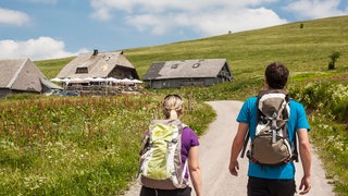 Eine Frau und ein Mann wandern in Richtung der St. Wilhelmer Hütte am Feldberg im Schwarzwald