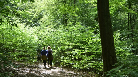 Waldbrände werden meist von Besuchern entdeckt und gemeldet.