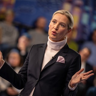 Alice Weidel, Kanzlerkandidatin der AfD, in der ZDF-Sendung "Klartext": Nach Medienberichten wirft die Großspende an die Partei Fragen auf.