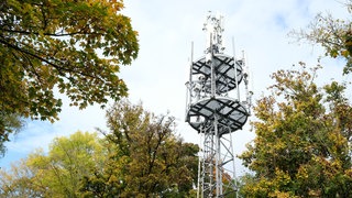 Ein Mobilfunkmast steht am Rande eines Wohngebiets. 