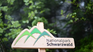 Ein Holzschild mit der Aufschrift "Nationalpark Schwarzwald"