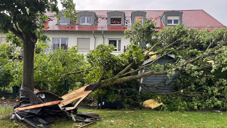Durch das Unwetter in Ulm wird ein Baum in einem Garten umgeworfen. 