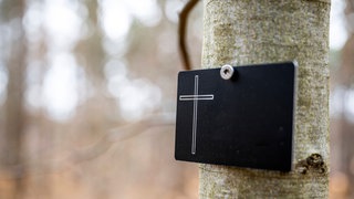 Eine Plakette hängt an einem Baum in einem Ruheforst.