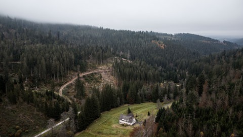 Ein Wohnhaus steht im Langenbachtal. Der Nationalpark Schwarzwald soll bald eine Erweiterung bekommen, das neue Gebiet gehört bislang der Waldgenossenschaft Murgschifferschaft.