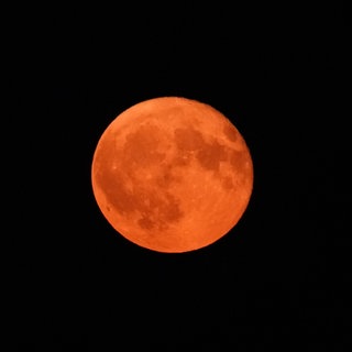 Der Blutmond ist am Himmel zu sehen. Die Mondfinsternis ist am 07.09.25 am Himmel zu sehen.