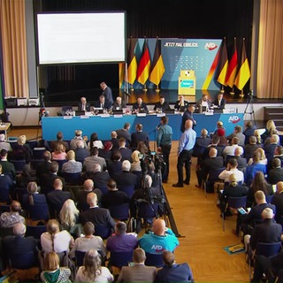 AfD-Landesparteitag