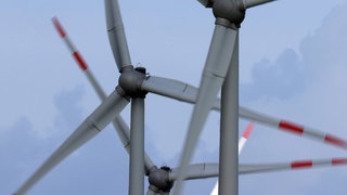 Windräder drehen sich auf einem Feld im Wind. In Horb am Neckar gab es einen Bürgerentscheid zum Thema Windkraft (Symbolbild).