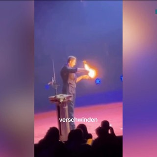 Weltweihnachtscircus Stuttgart - Tierschutz-Aktivisten kritisieren Tauben-Trick