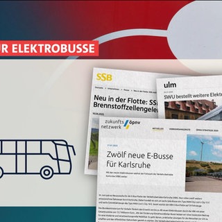 Chinesische Busse - Auswirkungen auf den Markt