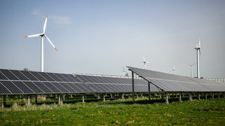 Mehrere Windkraftanlagen stehen hinter einem Solarpark.
