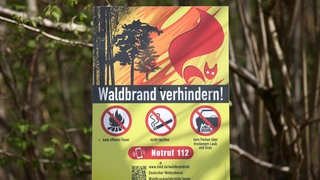 Ein Hinweisschild gibt Tipps, wie Waldbrände verhindert werden können. Unter anderem soll kein offenes Feuer gemacht werden, nicht geraucht werden und nicht über trockenem Laub geparkt werden. 