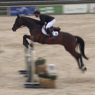 Reiter Michael Jung springt auf seinem Pferd über eine Hürde