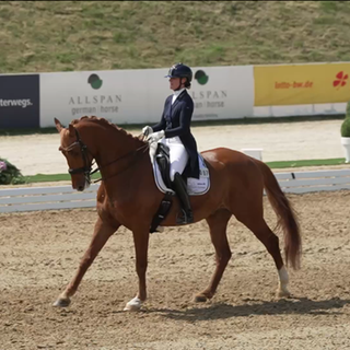 Steckt der Reitsport in der Krise!?