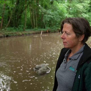 Eine Frau steht neben einem kleinen See zwischen Bäumen